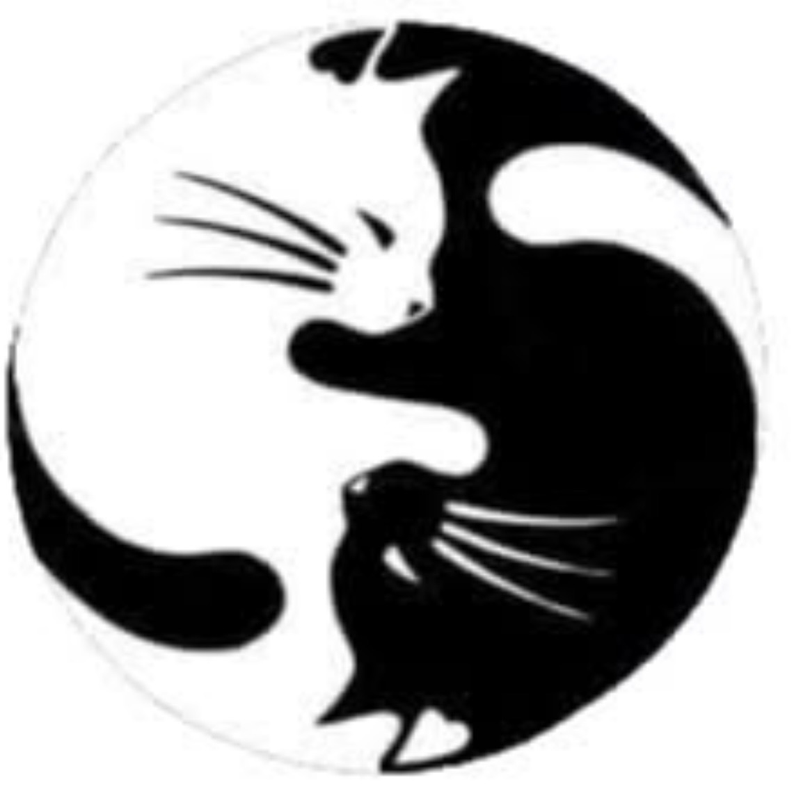 Logo de l'association Minoutoutdoux