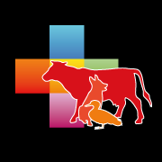 Logo de l'association ANIMAL CROSS