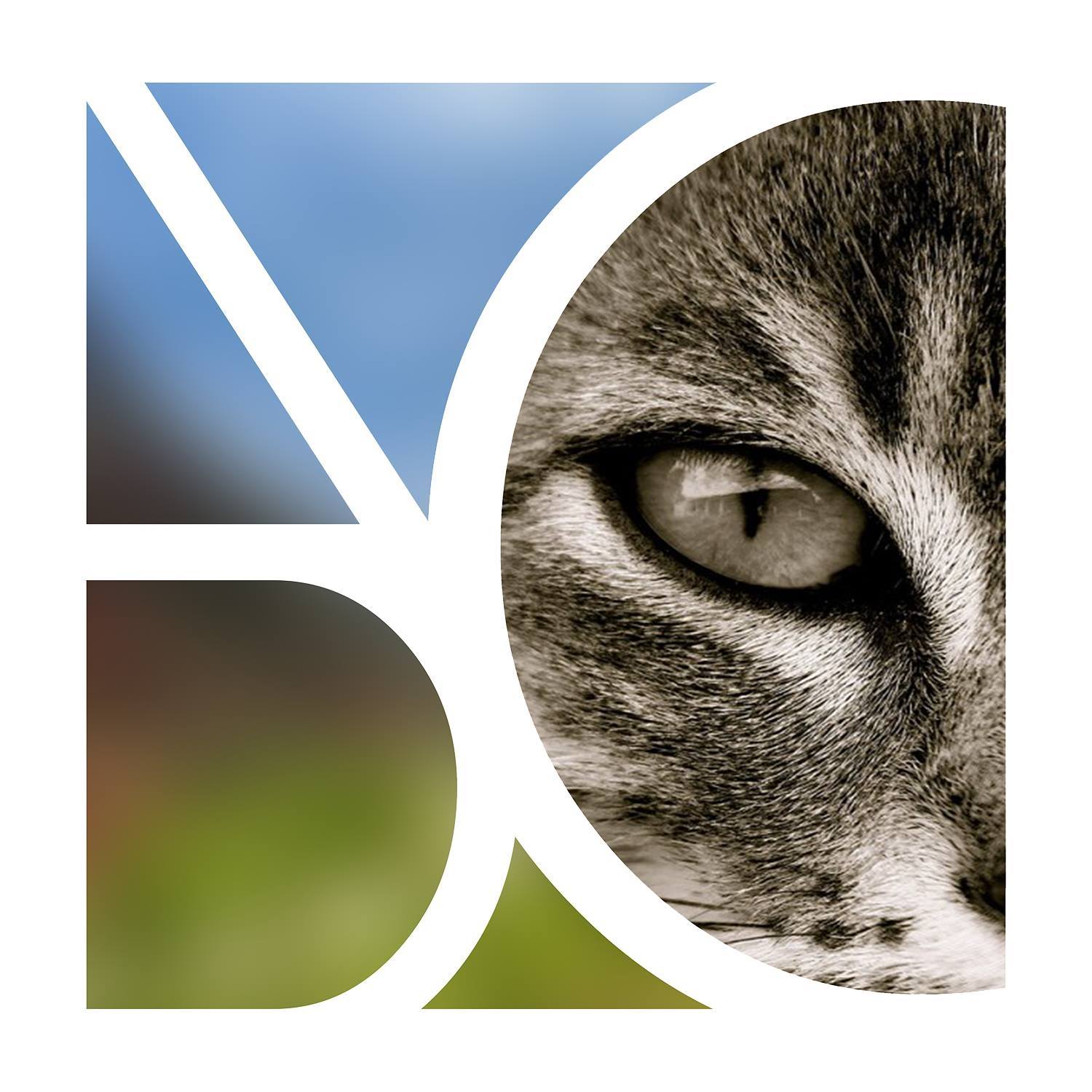 Logo de l'association La vallée des chats