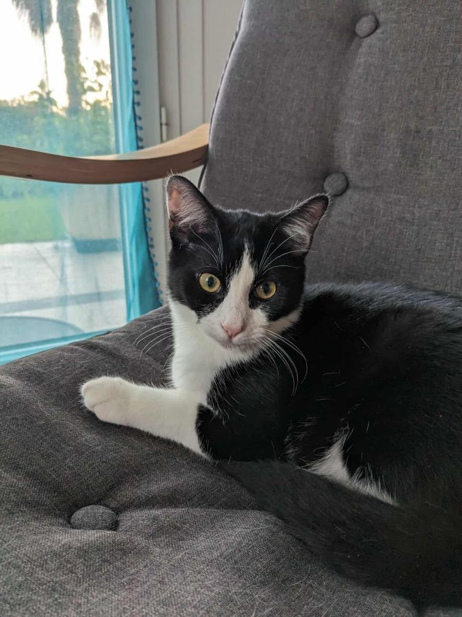 Mozhan cherche une famille pour l'adopter - Image 2
