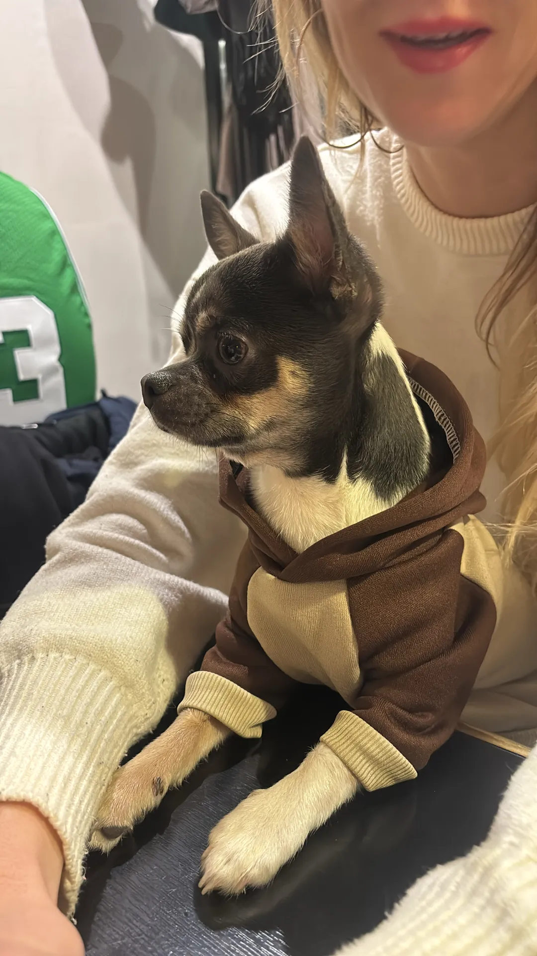 Aïko  cherche une famille pour l'adopter - Image 2